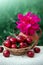 Large cherries in a basket and red peony in a jug isolated on green.
