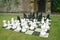 Large chess game on a garden grass