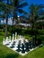 A large chessboard in a beautiful garden
