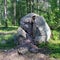 A large chopped granite lies in the forest. Russia, the Leningrad Region.