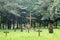 Large Christian Traditional Cemetery