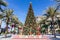 Large Christmas Tree in Dubai, Town Square Park, 2020, amont green palm trees