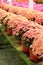 Large clay pots with hardy mums displayed at local market