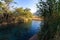 A large, clear freshwater pool surrounded by vegetation and reeds in Ein Shokek,