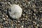 Large cobblestone stones in the middle of the beach