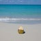 Large coconut on the white sand of a tropical beach.