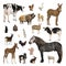 Large collection of farm animal in different position