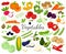 Large collection of fresh vegetables, olives, avocados. whole, half, in cross-section, slices. Decorative design elements for food