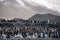 Large colony of King penguins with both adults and chicks on the beach, South Georgia, southern Atlantic Ocean