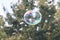 Large Colorful Soapy Bubble Floats Through Air At Festival