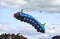 Large colourful caterpillar kite flying high