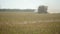 Large Combine Harvester Drives on Empty Field against Trees