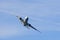 Large commercial airplane making a turn; blue sky background