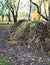 Large compost pile in the garden