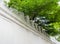 Large concrete fortification wall of old town and the trees