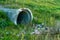 A large concrete pipe for diverting the river under the highway. Leaky dirty water from large concrete pipes. Dirty sewage from