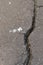 A Large Crack In The Tar