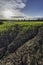 Large cracks in soil in rice field