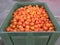 Large crate of oranges in Andalusian trading estate