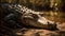 Large crocodile resting in tropical rainforest pond generated by AI