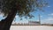 Large cross and bells through olive tree in Puglia - South Italy