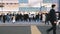 Large crowd group of Japanese business people commuter walk cross road in downtown financial district, Shinjuku Tokyo