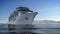 Large Cruise Ship Animation 