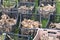 Large dahlia tubers with dried stems are stacked in plastic boxes standing on green grass. Preparing for spring planting. Flower