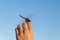 Large damselfly wings on hand on blue sky