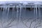 Large dangerous icicles on a house roof in winter