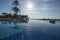 Large date palm tree in infinity swimming pool of luxury resort