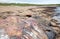 Large dead Sperm Whale washup up on a beach on Iceland