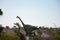 A large dinosaur sculpture stands in a park in egypt
