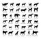 Large dog breed collection vector silhouette isolated on white background: american Staffordshire, pit bull terrier