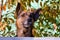 A large dog peeks over a fence in the background of leaves and twigs