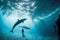 Large dolphin swims around person while freediving at depth