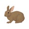 Large domestic rabbit with brown fur. Plant-eating mammal with long ears, long hind legs and short tail. Flat vector for