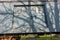 Large double door on the side of an old antique railroad train car.