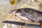 Large dried fish lies on cutting board. Next knife