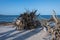 Large driftwood on secluded Florida beach