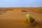 Large dunes in the Sahara deformed by the wind, Morocco