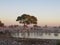 Large Elephant Herd at Water Hole in Etosha National Park, Namibia, Africa