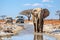 A large elephant walking across a muddy road. Generative AI.