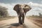 a large elephant walking down a dirt road near trees and bushes