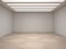 Large empty room with a top ceiling light