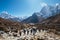 Large expedition members grouon Everest Base Camp trekking route near Dughla 4620m. Backpackers using trekking poles and going by