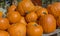Large Fall Harvested Pumpkins
