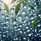 Large falling water drops in leafy scene