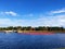 A large field of cranberries bogs