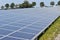 Large field with hundreds of solar panels mounted on the ground, location Heerhugowaard